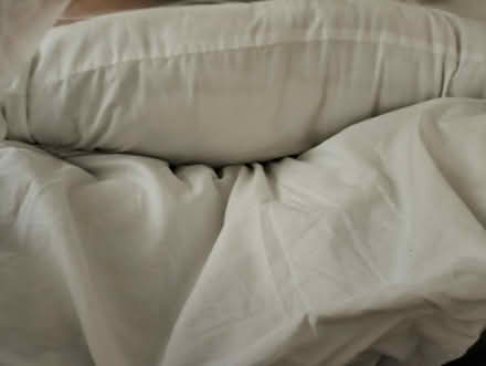 Photo of free 2 pillows (Drypool HU9) #1