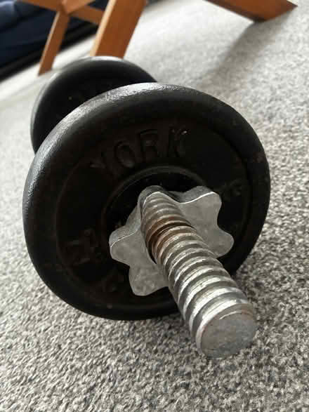 Photo of free 5kg dumbbell weights (Clapham SW8) #2