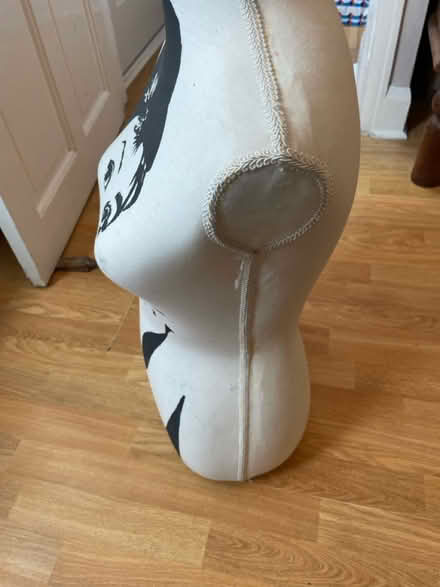Photo of free Tailors Dummy / Mannequin (Walton L9) #3