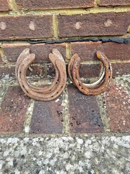 Photo of free Five Horseshoes (Salvington BN13) #1