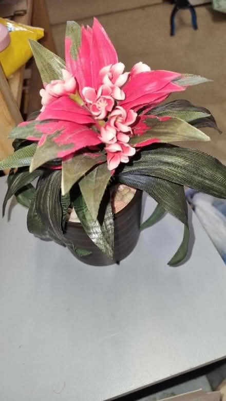 Photo of free Artificial flowers (Great Barford MK44) #2