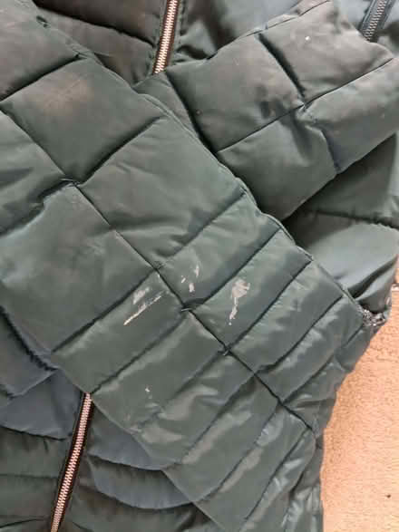 Photo of free Warm womens coat size 14/16 (Sherrard's Green WR14) #2