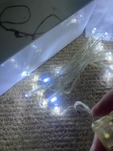 Photo of free Fairy lights (SE8 Deptford) #4