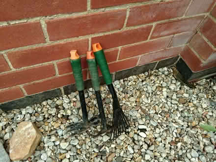 Photo of free Garden stuff (Darley Abbey DE22) #2