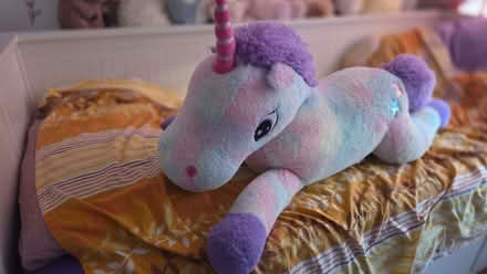Photo of free Large soft toy (Northwood HA6) #1