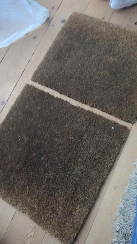 Photo of free Doormat (in half) (Central Norwich NR2) #1