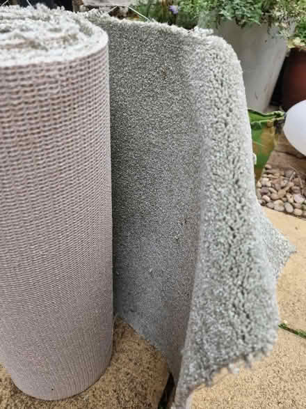 Photo of free Pale green brand new carpet offcut (Pin Green Industrial Area SG1) #2