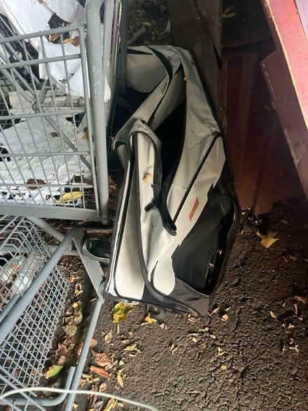 Photo of free All kinds (Fairfax virginia) #3