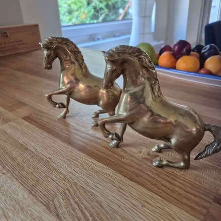 Photo of free Decorative Horses (Emmer Green RG4) #1