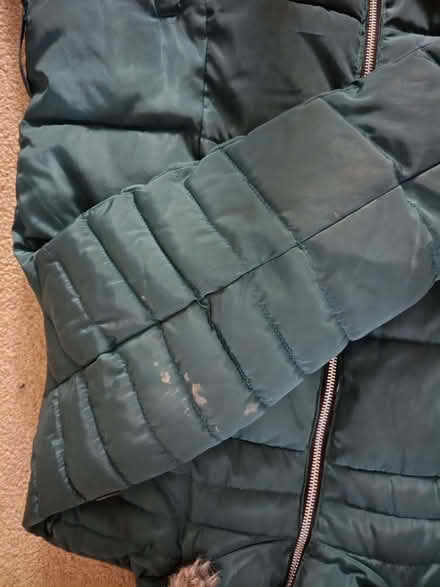 Photo of free Warm womens coat size 14/16 (Sherrard's Green WR14) #3