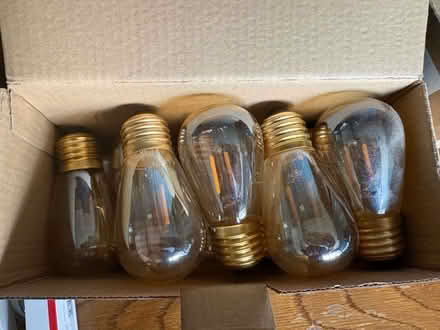 Photo of free 14 ‘Vintage’ Lightbulbs E27 fitting (Leam Lane NE10) #1