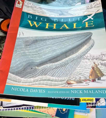 Photo of free Bundle of Primary aged big books (Peachcroft OX14) #1