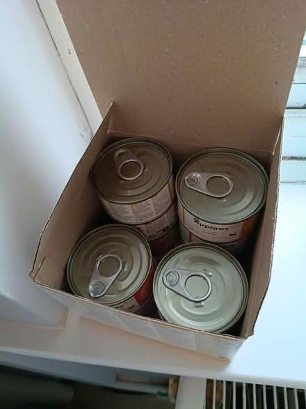Photo of free Applause kitten and cat food (GL51 4UR) #2