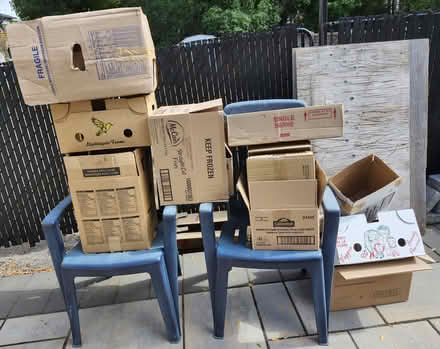 Photo of free Boxes (Wellington Village) #1