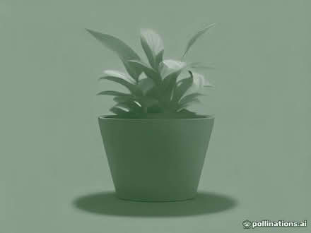 Photo of Large plant pots for patio (Netherfield MK6) #1
