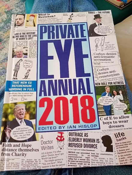 Photo of free Private eye 2018 (Temple Cowley OX4) #1