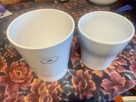 Photo of free orchid pots (South Darley CP DE4) #1