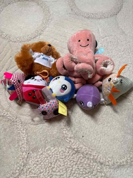 Photo of free Cuddly toys (Penistone S36) #1