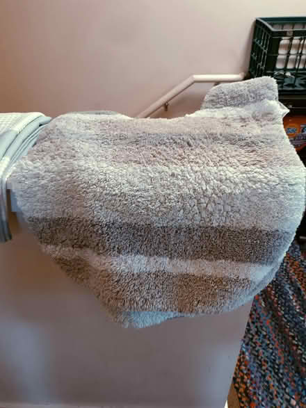 Photo of free Shower curtain and rugs (White Center) #1