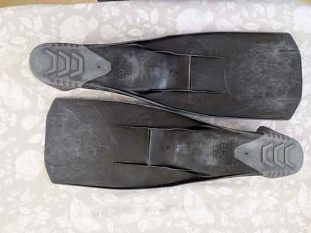 Photo of free Flippers (Clewer Green SL4) #2