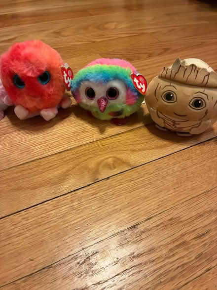 Photo of free Beanie Puffies (Saugerties) #3