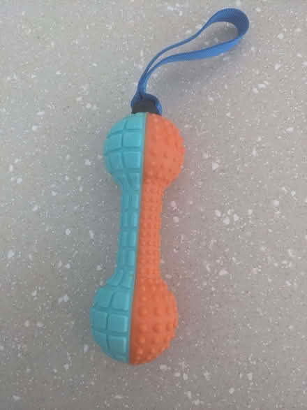 Photo of free New dog chew toy (Childwall L15) #1