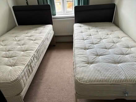 Photo of free Trundle bed - single size (Batchwood AL3) #4