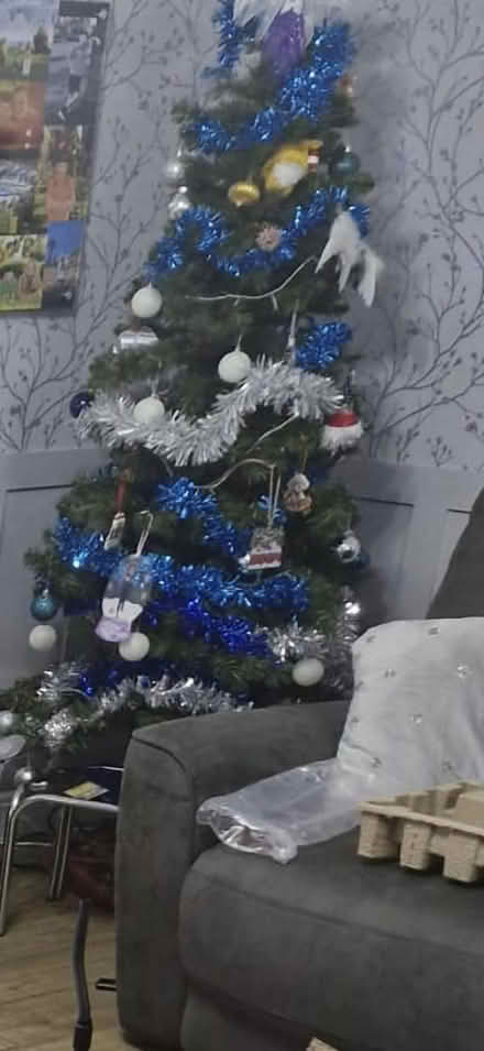 Photo of free 6ft christmas tree (MK15 downhead park) #1
