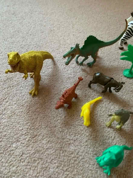 Photo of free Collection for dinosaur figures (Yately GU17) #4