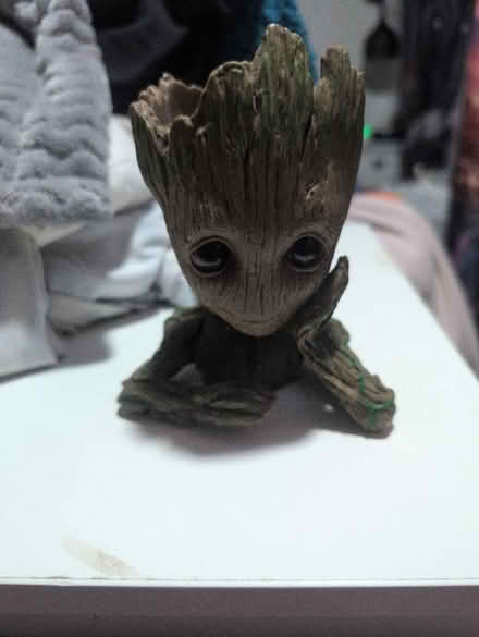 Photo of free Groot pot (Erith DA8) #1