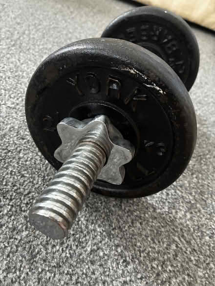 Photo of free 5kg dumbbell weights (Clapham SW8) #3