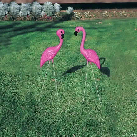 Photo of free Plastic flamingos (60th cedar ave 19143) #1
