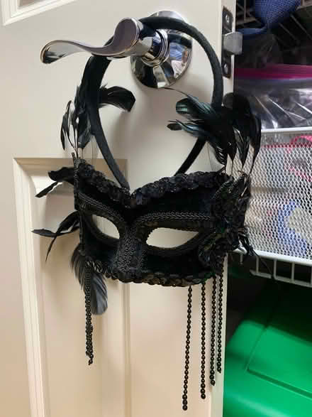 Photo of free Headband Masquerade Mask (Bolton, MA) #1