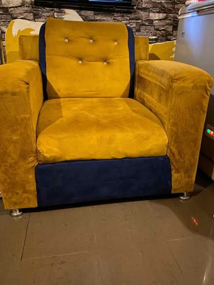 Photo of free Single Old sitter for to giveaway (Lubbock Texas) #3
