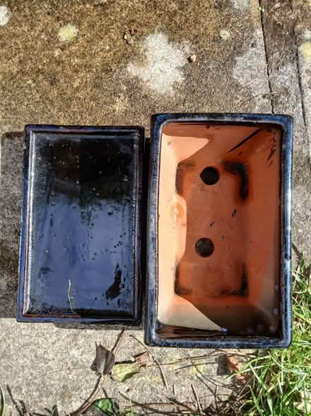 Photo of free Bonsai plant pot (Woodseats S8) #2