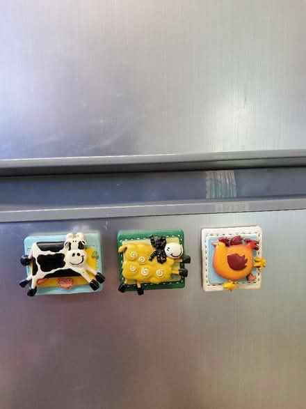 Photo of free Fridge magnets (set 3) (Great Barford MK44) #1