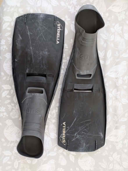 Photo of free Flippers (Clewer Green SL4) #1