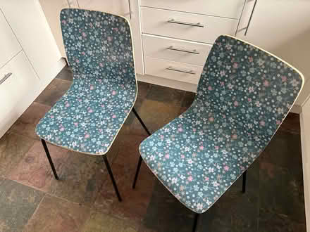 Photo of free Pair of dining chairs (Madeley, Telford) #3