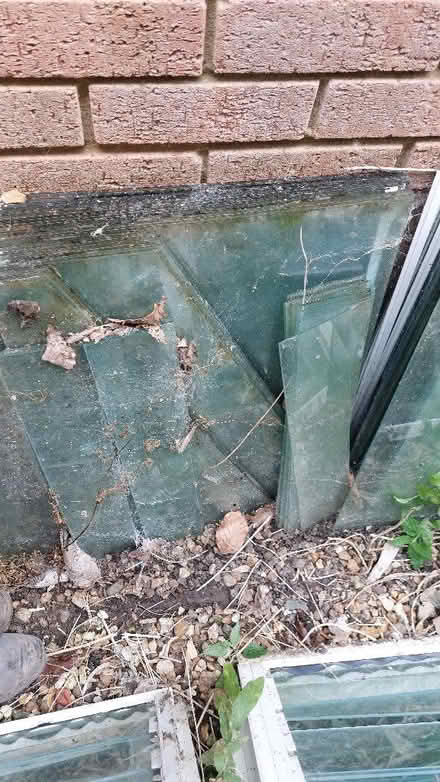 Photo of free Greenhouse Glass (Flitton MK45) #2