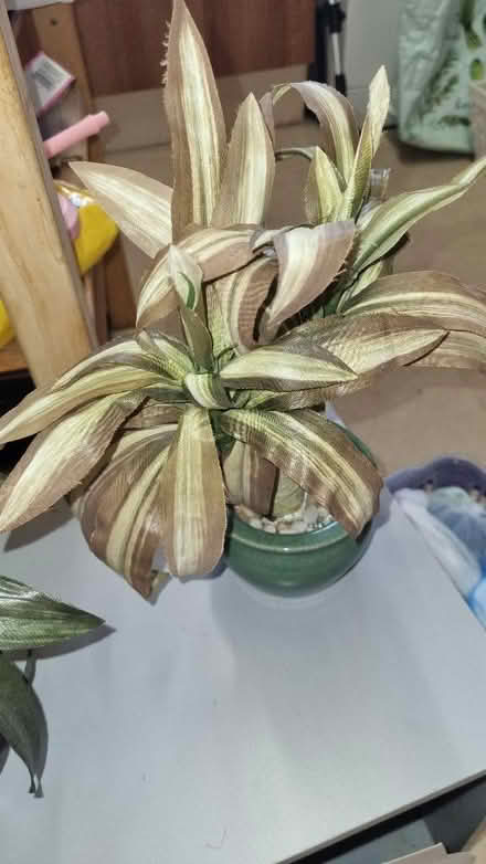 Photo of free Artificial flowers (Great Barford MK44) #1