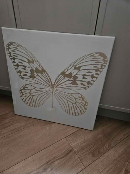 Photo of free Butterfly canvas (Handsworth) #1