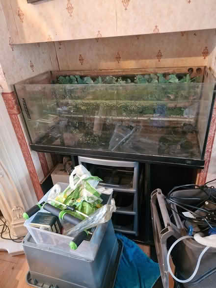 Photo of free Fish tank (Blacon CH1) #1