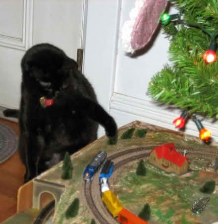 Photo of free N gauge Christmas train board (Anna st in Teaneck) #1
