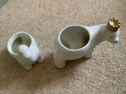 Photo of free Dinosaur and polar bear plant pots (Ellastone DE6) #3
