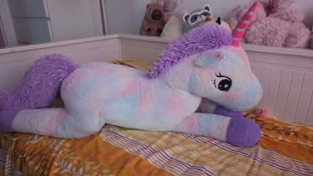 Photo of free Large soft toy (Northwood HA6) #2