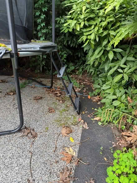 Photo of free Trampoline by Plum (Brincliffe S11) #3
