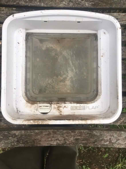 Photo of free Sureflap cat flap (West Dereham PE33) #2