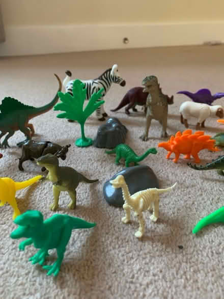 Photo of free Collection for dinosaur figures (Yately GU17) #2