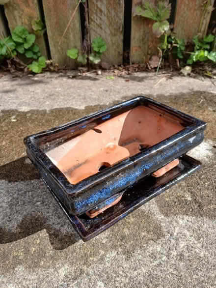 Photo of free Bonsai plant pot (Woodseats S8) #1