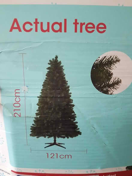 Photo of free Christmas Tree (Telford TF3) #2